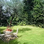 La Bouganville - Piscina E Relax Camaiore