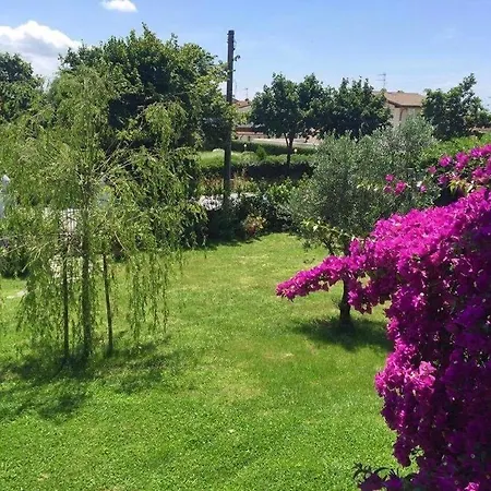 La Bouganville - Piscina E Relax * Camaiore