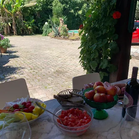 La Bouganville - Piscina E Relax Camaiore